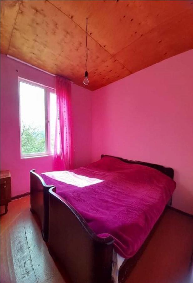 Guest House Malkhaz Niguriani Zhabeshi ภายนอก รูปภาพ